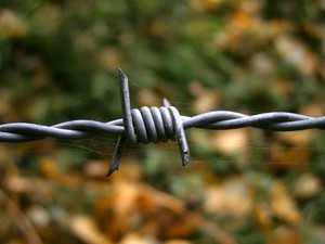 Армированная колючая проволока